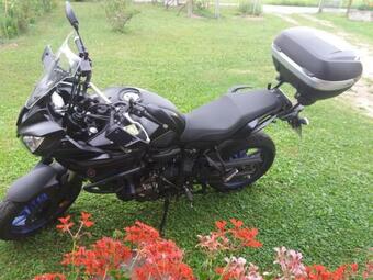 Apartamento Blue Moon