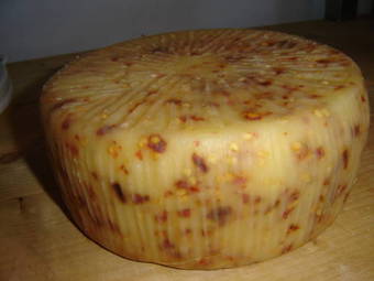 Agroturismo Agriturismo Al Casale