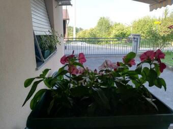 Studio Apartman Tu?ek