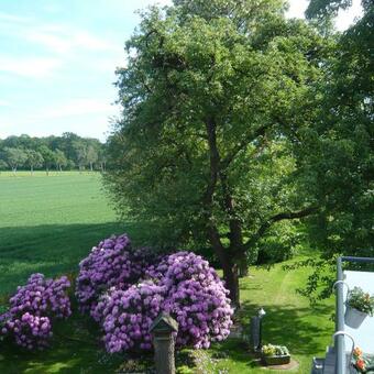 Apartamento G�stewohnung Am Grinderwald