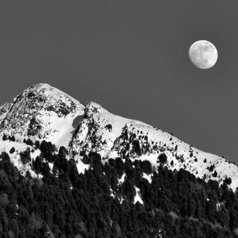 Bergchalet Hotel Reinerhof