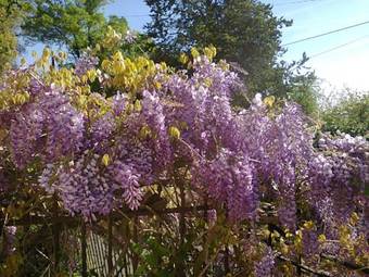 Bed & Breakfast Manoir Le Cristal (futuroscope)