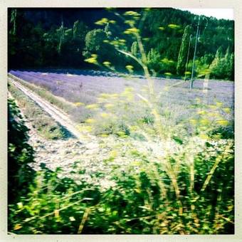 Bed & Breakfast Le Vin De L'et�