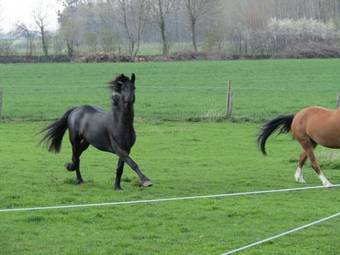 Bed & Breakfast Le Prieur� Saint Paul