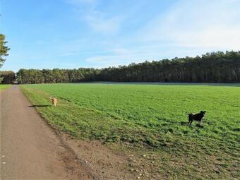 Heidehaus Lippl Am Steinhuder Meer