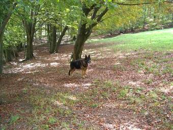 Hostal Cafe & Pension Carmen