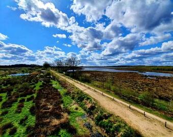 Vakantiehuis Tolve Met 2 Fietsen Vlakbij Drents Friese Wold, Fochtelo�rveen En Werelderfgoed Veenhuizen