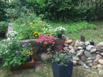 Apartamento Appartement Im Alten Pferdestall