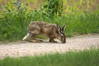 Holiday Homes Inselblick, Lohmen
