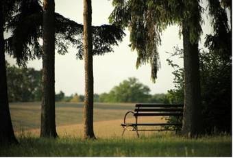 Hotel Schloss Und Gut Liebenberg