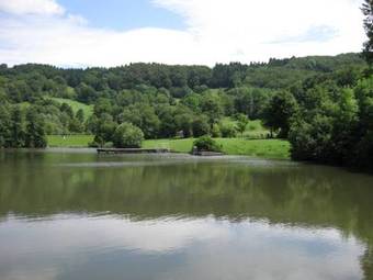 Rh�nhotel Alte M�hle