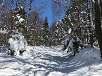 Natru 713- Domek Na Wy??czno??