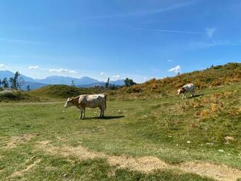 Apartamento Haus Floriani, Appartement, Greifenburg, Karinthi�