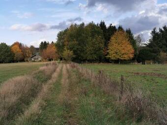 Bed & Breakfast Le Cerf D'hubert