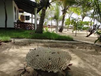 Hotel Sea Shore Beach Resort