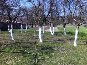 Apartman Anka Et Studio Anka