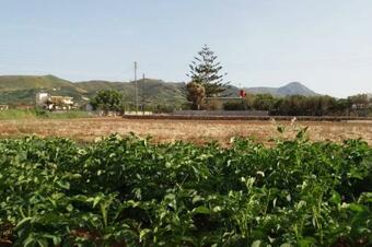 Kissamos Serene 3-bedroom Apartment