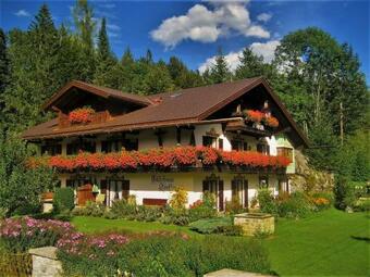 Ver fotos