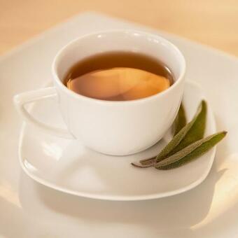 Villa Pensiune In Mijlocul Naturii La 30km De Bucuresti