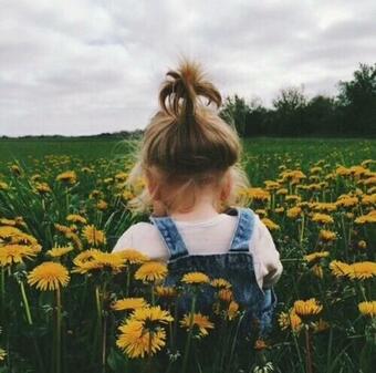 Paradies Im Gr�nen