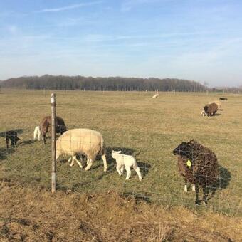 Vakantiewoning Belle Vue