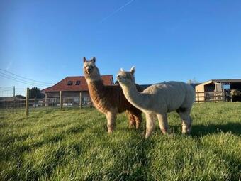 De Sint-antoniushoeve