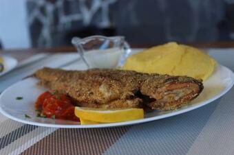 Hostal Pensiunea La Poalele C?limanilor