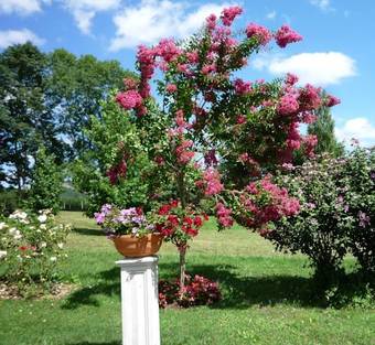 Bed & Breakfast Domaine V�ga