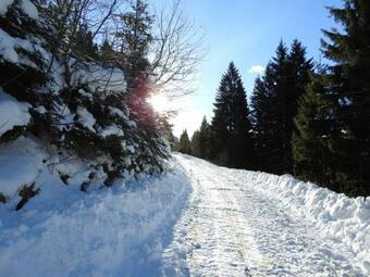 Agroturismo Biobauernhof Spieszschweiger