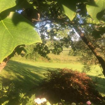 Hostal Landhaus Grete