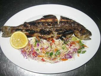 Hostal Guesthouse Moucha