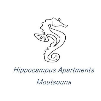 Apartamento Hippocampus Studios 2 Min Walk From The Beach