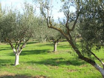 Apartamento ?????????? - Palioktima 2