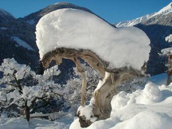 Apartamento Leitingerhof