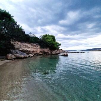 Olive Grove Soulis Family Estate