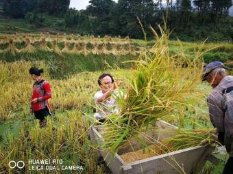 Albergue Jacky's Guesthouse