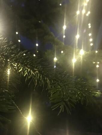 Cozy & Quiet City Apartment