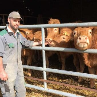 Tiny House Galinette, Au Coeur D'une Ferme