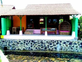 Coconut Island Carita - Chse Certified