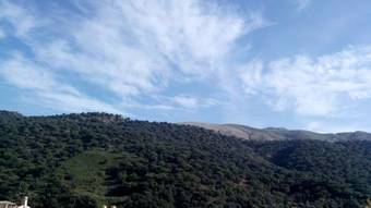 Apartamento El Serrano