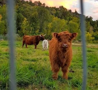 Spacious Luxury Log Home - 25 Min To Skiing, Boating And Trails!