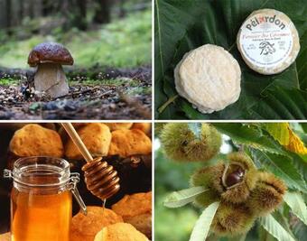 Le Studio Nature D'escales En C�vennes