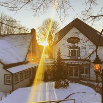 Hotel Auberge Sous Les Arbres