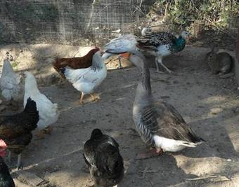 Casa Rural Torre De Campos