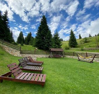 Hostal Pensiunea Poienita Ursului