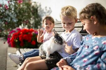 Apartamento Sporerhof Dolomitenlogen