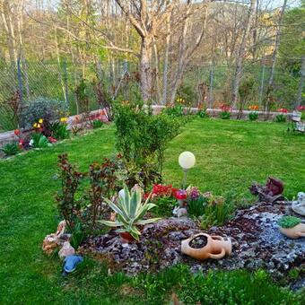 Apartamento Casa Dei Fiori