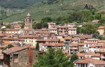 Apartamento L�olivo