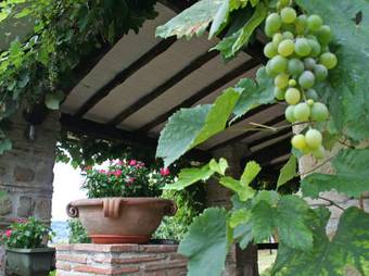 Holiday Home Rossa Mergnano