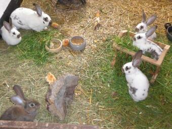 Apartamento Ferienwohnung Aus-zeit Auf Dem Lande